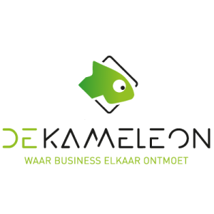 b2b de kameleon